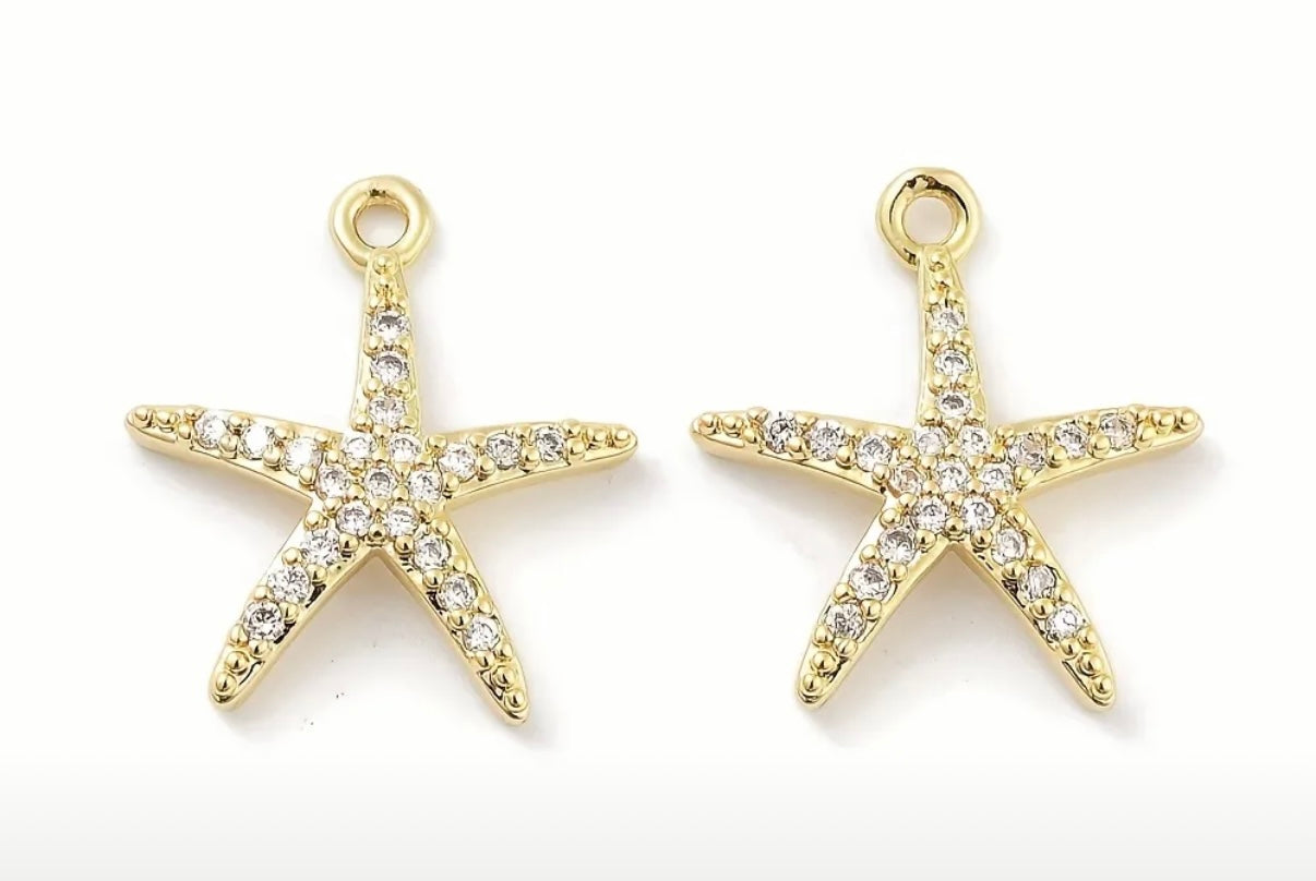 Shiny Star charm⭐️